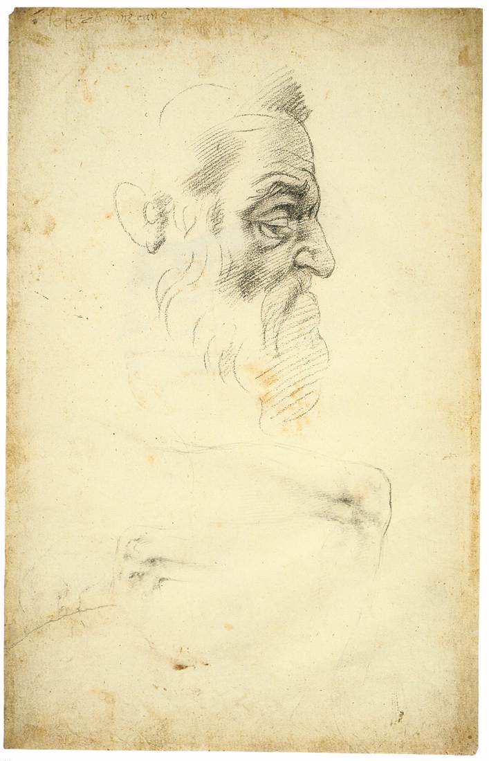Michelangelo-Buonarroti (108).jpg